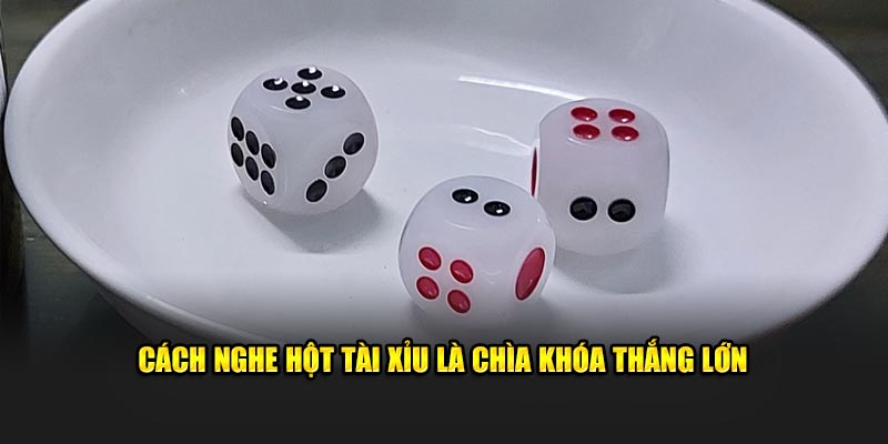 Cách nghe hột tài xỉu 33WIN là chìa khóa thắng lớn