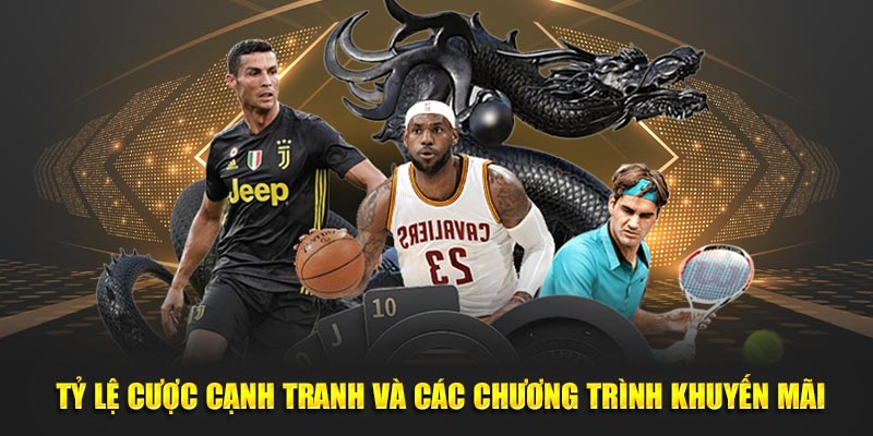  tỷ lệ cược cạnh tranh cùng các chương trình khuyến mãi độc đáo