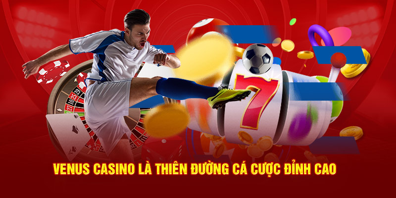 Venus casino là thiên đường cá cược đỉnh cao