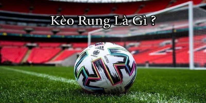 Những dữ liệu quan trọng về kèo rung thể thao 33win